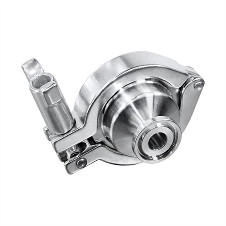 check valve (4)